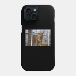 Liger Phone Case