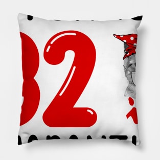 I Turned 32 In Quarantine Funny Cat Facemask Pillow