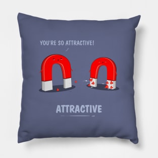 Attractive Pillow
