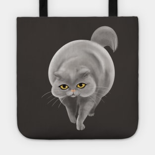 Big grey cat Tote