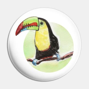 Toucan watercolor Pin