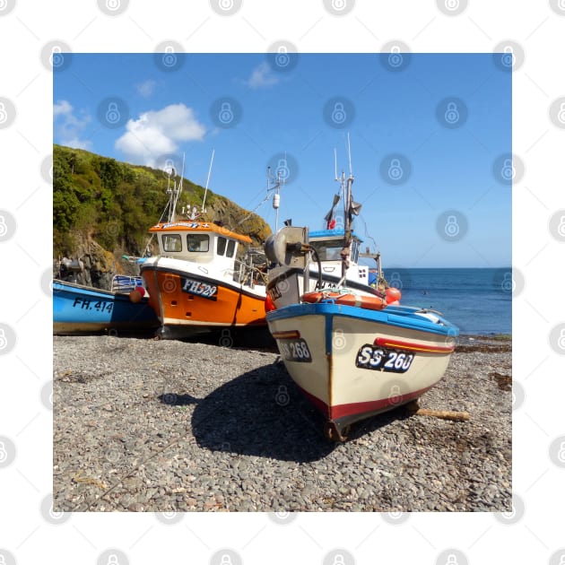 Cadgwith Cove, Cornwall by Chris Petty