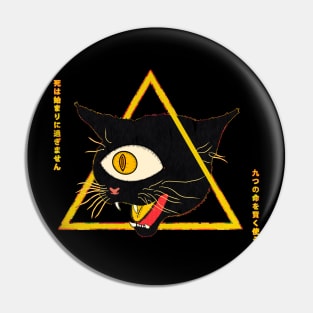 Use Your 9 Lives Wisely Pin