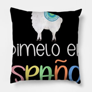 En Espanol Por Favor Bilingual Spanish Teacher Gifts Pillow