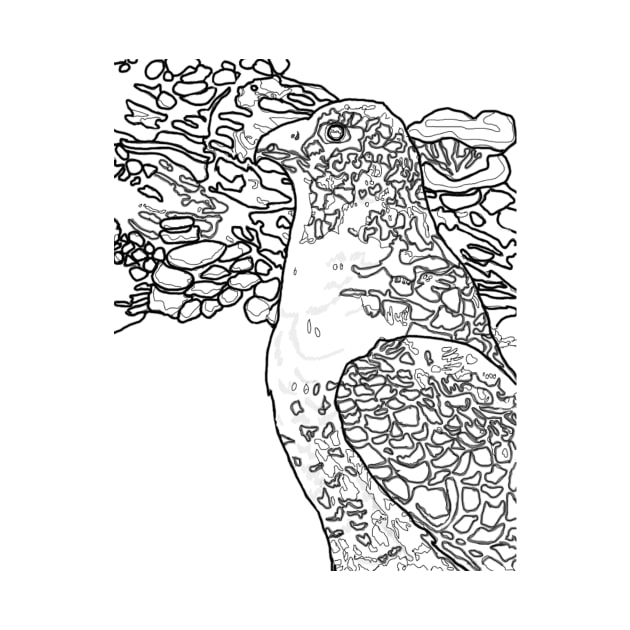 Coloring book Style Peregrine Falcon by lisaeldred