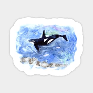 Orca under water watercolor painting Magnet