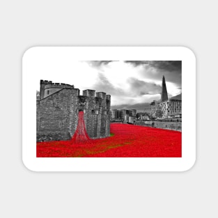 Tower of London Red Poppy Magnet