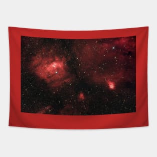 Deep space object Bubble Nebula (NGC 7635) Tapestry