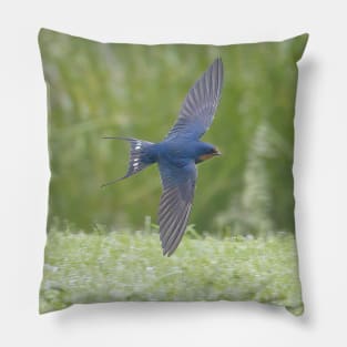 Barn Swallow in Flight Pillow