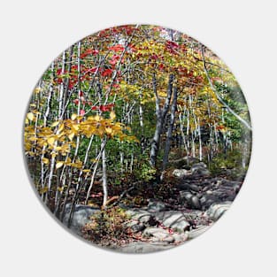 Fall Forests Pin