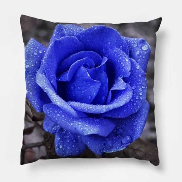 Blue rose Pillow by mega281