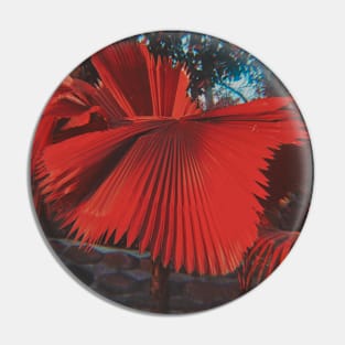 Red Palm Tree Leaves Temptation Pin