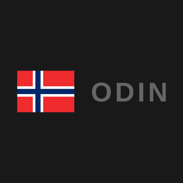 Odin Viking by tshirtsnorway