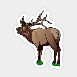 Elk Magnet