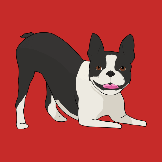 Boston terrier by AMCArts