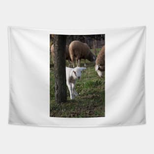 Shy lamb Tapestry