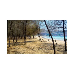 Pine tree forest at Pacitan beach with mountain in backround T-Shirt