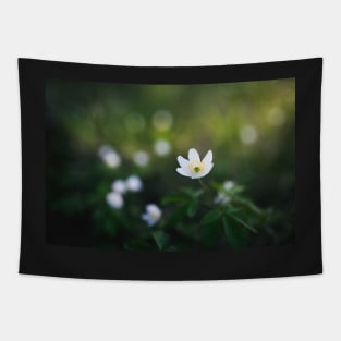 Anemone nemorosa flower in the forest Tapestry