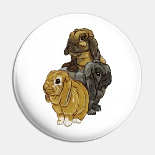 Lilly, Robin und Barney Pin