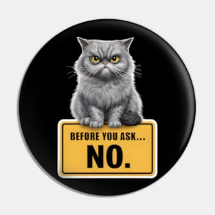 Before You Ask... No Funny Cat Design Pin