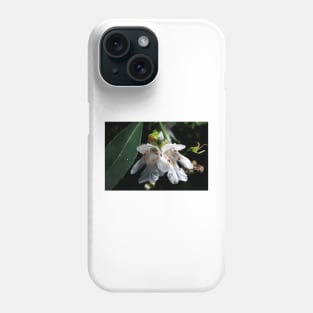 Christmas Bush With Visitor Phone Case