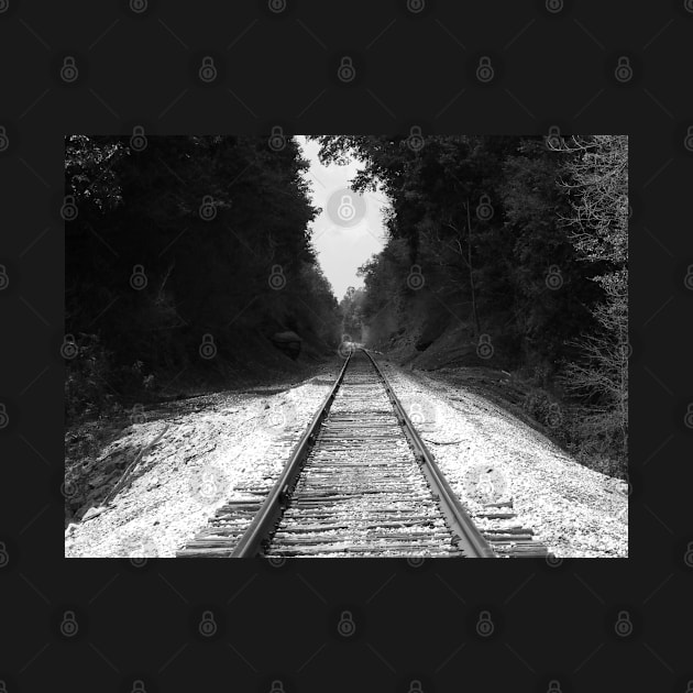 Black & White Photography Railroad Art Train Tracks by tamdevo1