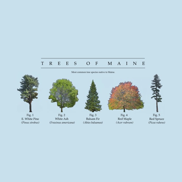 Trees of Maine by Atmospheric Comics Company