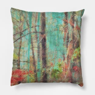 Nature's Colorful Spirit Pillow