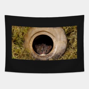 two wild mice in a log pile house Tapestry