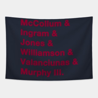 Pelicans '23-'24 Playoff Squad Tapestry