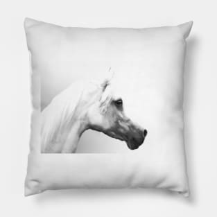 Arab Horse Portrait Pillow