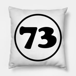 73 - The Best Number Pillow