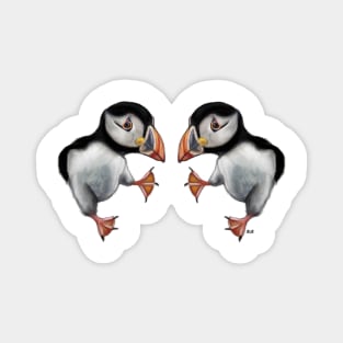 Puffins Dance Magnet