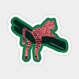 leopard, endangered, cute big cat Magnet