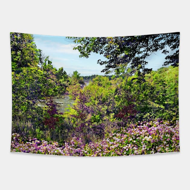 Niagara Falls, NY - Wildflowers on Three Sisters Islands Tapestry by SusanSavad