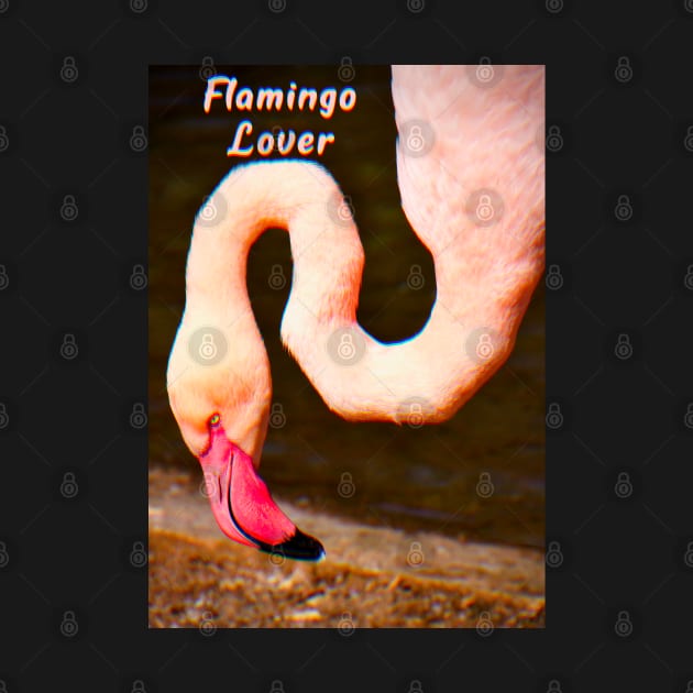Flamingo Lover by ak3shay
