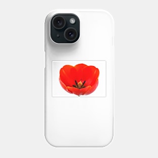 Tulipa  'Ad Rem'  Tulip Phone Case