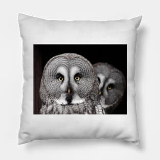 Great Gray Owl Pillow