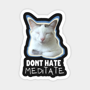 Don't Hate, Meditate Magnet