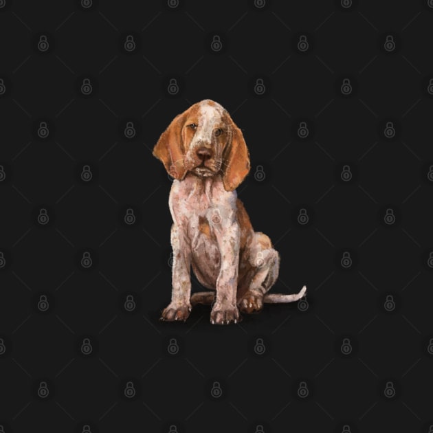 The Bracco Italiano by Elspeth Rose Design