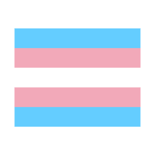 Proud Trans Transexual Pride Flag (Proud LGBT LGBTQ+ Community Pride Flag) T-Shirt