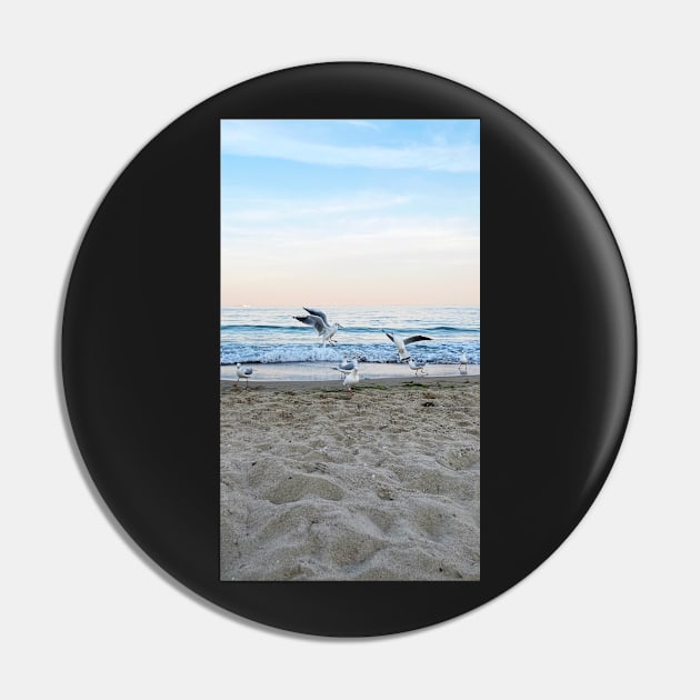 Seagulls sit on the beach Pin by taya-stdnk