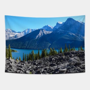 Upper Kananaskis Lake. Tapestry