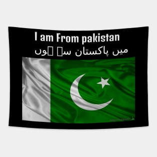 I am From Pakistan Tapestry