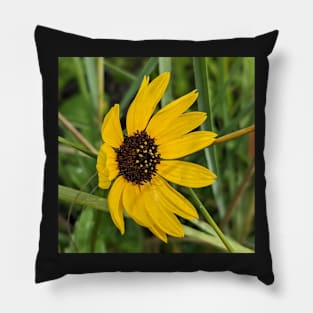 Yellow Sand Dunes Flower 3 Pillow