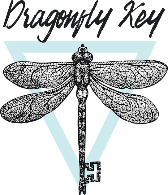 Dragonfly Key Kids T-Shirt by AlinaPlesia