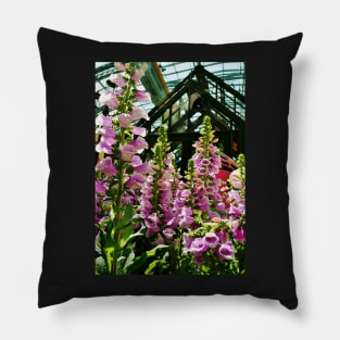 Pink Foxglove Framing a Glass Greenhouse Pillow