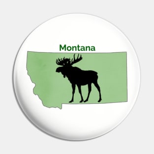 Montana Pin