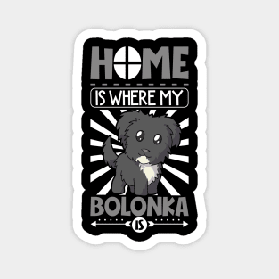 Home is where my Bolonka is - Bolonka Zwetna Magnet