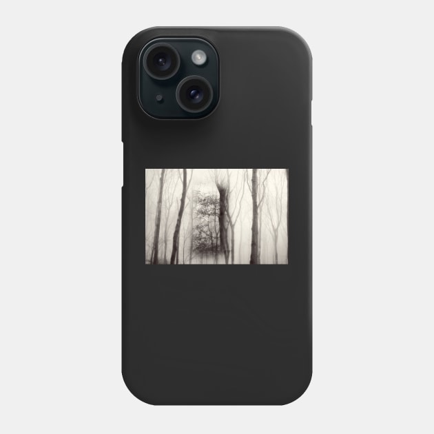 Beech tree within a foggy wood Phone Case by heidiannemorris